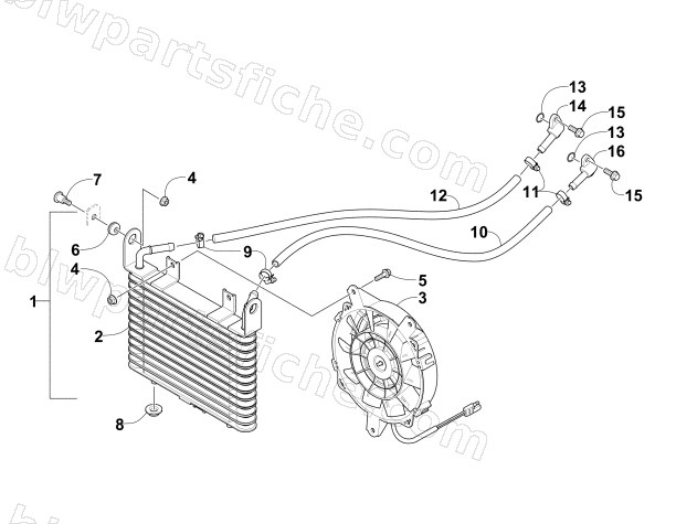 OIL COOLER ASSEMBLY diagram
