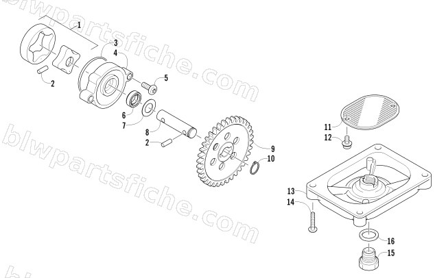 OIL PUMP ASSEMBLY diagram