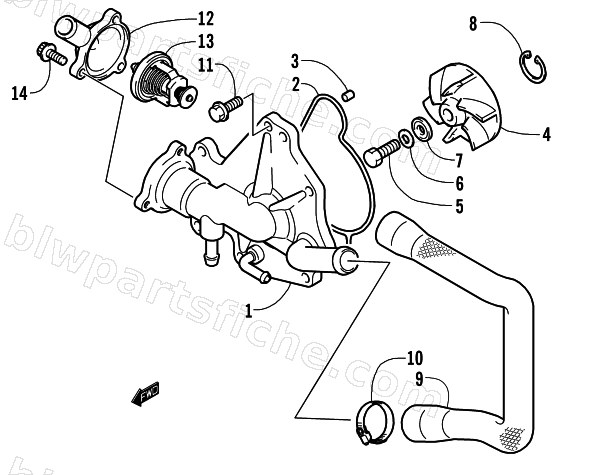 WATER PUMP AND THERMOSTAT diagram