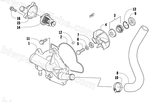 WATER PUMP AND THERMOSTAT diagram