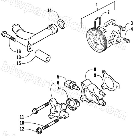WATER PUMP AND THERMOSTAT ASSEMBLIES diagram