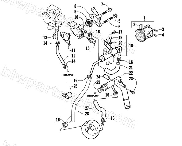WATER PUMP AND THERMOSTAT ASSEMBLIES diagram