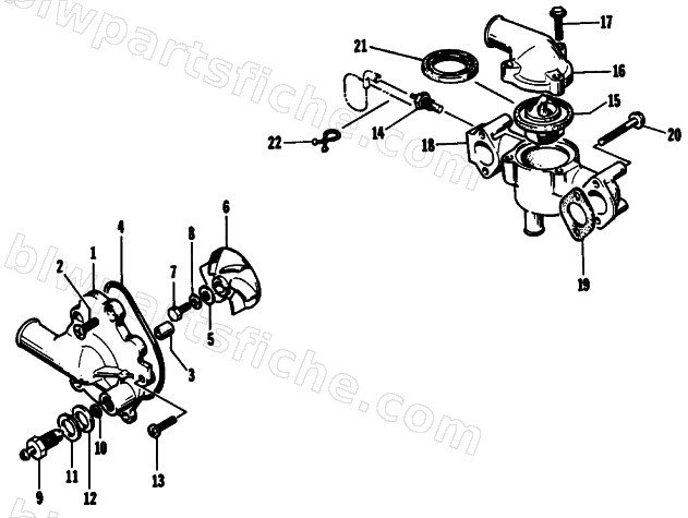 WATER PUMP/WATER MANIFOLD diagram
